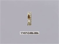 藏品(黃波緣苔蛾)的圖片